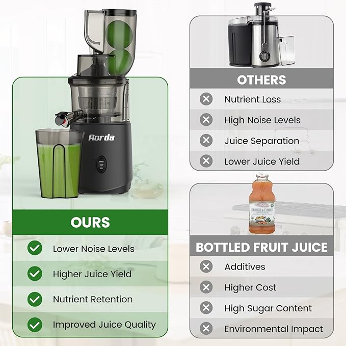 Slow Masticating Cold Press Juicer: Cold Pressed Juicer Machines For Vegetable And Fruit 200W, Matte Grey-Ruum Studio Home