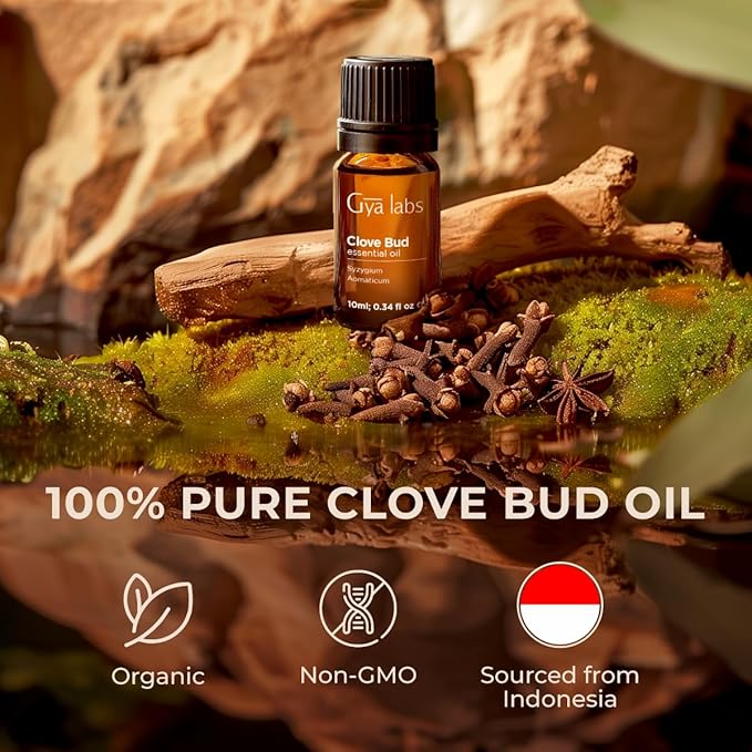 Gya Labs Clove Essential Oil for Teeth & Gums - 0.34 Fl Oz - 100% Pure Natural Clove Oil for Oral Care, Hair, Skin & Candle Making Scent-Ruum Studio Home