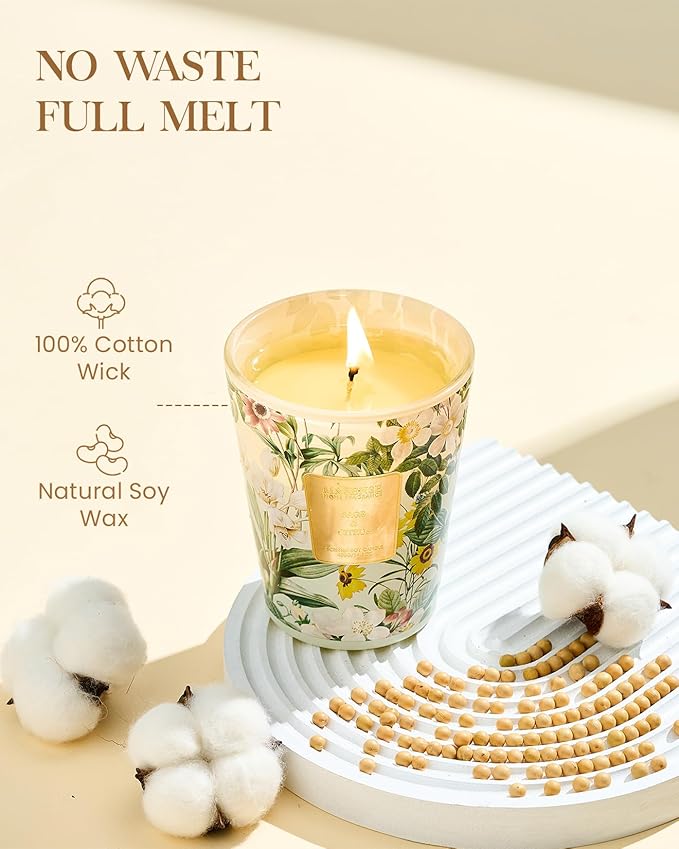 M&SENSE Sage Citrus Scented Natural Soy Wax Candle, 14.1oz 60 Hours Long Lasting Slow Burning Candles for Home Decor, Aromatherapy Candle for Stress Relief-Ruum Studio Home