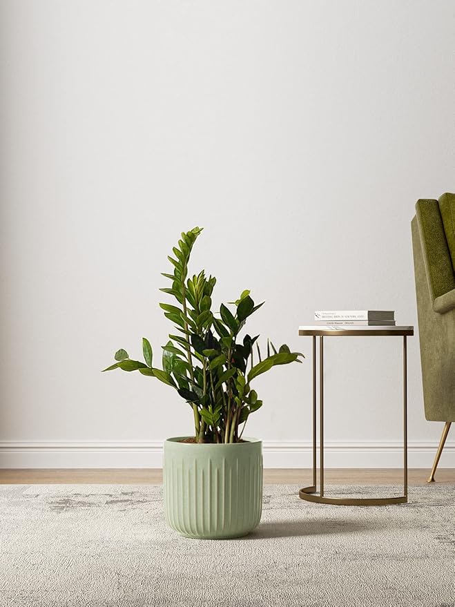 LE TAUCI Fluted Ceramic Planters Set of 3 – 8.3/7 / 5.7 in Sage Green Reactive Cylinder Indoor Plant Pots with Drainage Plug & Mesh, Glossy Stoneware Flower Pots for Succulents Herbs-Ruum Studio Home