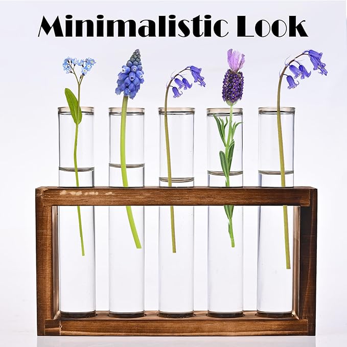 Desktop Glass Plant Propagation Station with 5 Test Tubes in Wooden Stand - Hydroponic Plants Cutting Office Home Decoration and Garden Decor Terrarium (5 Tubes)-Ruum Studio Home