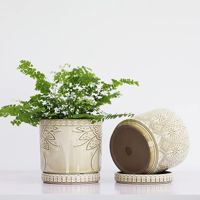 6 Inch Indoor Plant Pots with Drainage Holes and Saucers, Ceramic Planter for Plants, Flower Pot - Set of 2-Ruum Studio Home