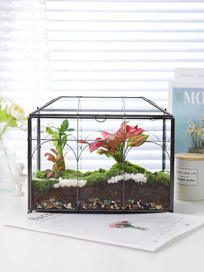Handmade Glass Planter Terrarium with Lid, Indoor Tabletop Centerpiece Display Box Modern Decor DIY Gift Plant Terrarium Container for Succulent Cacti Air Plants Flower (Black)-Ruum Studio Home