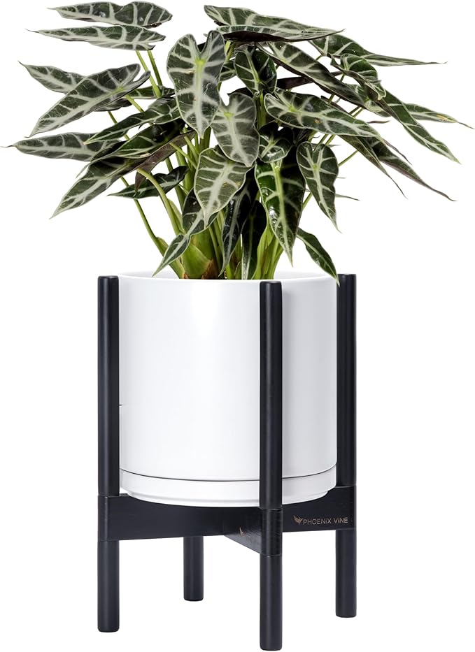 D'vine Dev Ceramic Planter with Ebony Stand - 10 Inch Modern Round Flower Pot with Wood Planter Holder, White, 55-B-L-1-Ruum Studio Home