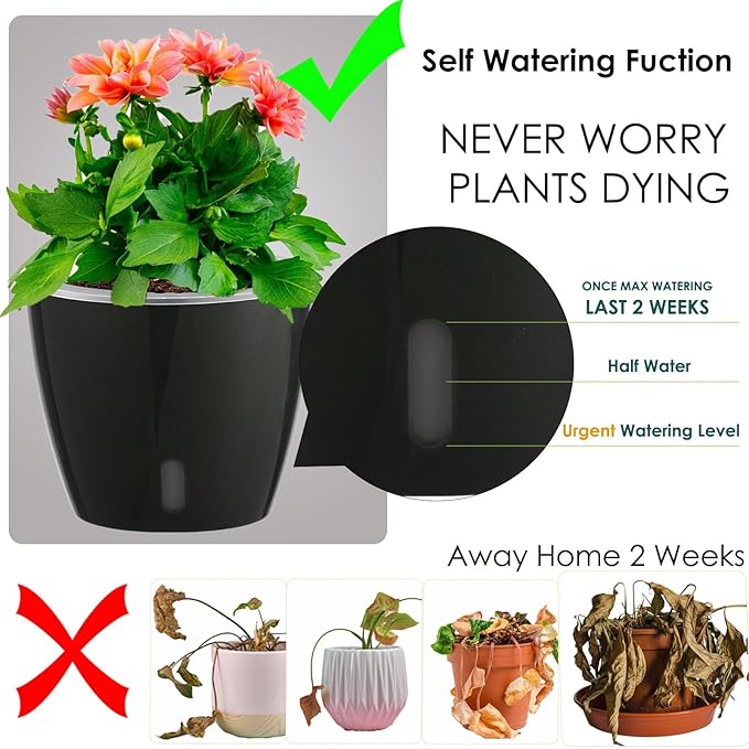 Self-Watering Pots for Indoor Plants, 6-Pack 6.7'' Self Watering Planter with Drainage Holes, Small African Violet Pots with Water Indicator, Clear Wick Pot, Black-Ruum Studio Home