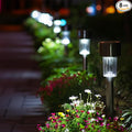 EcoGreen Outdoor Pathway Solar Light, 8pcs Pack,Garden Patio Balcony Walk Way Lights, Stainless Steel Leg, 5000K Daylight, IP65 Waterproof, 1.85 * 12.2in-Ruum Studio Home