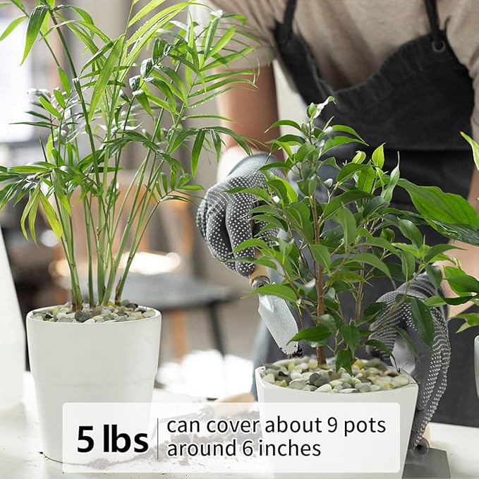 5LB Succulent and Cactus Pebbles, 1/5 Inch Jade Natural Decorative Polished Stones, River Rocks for Plants, Vases and Outdoor Gardening-Ruum Studio Home