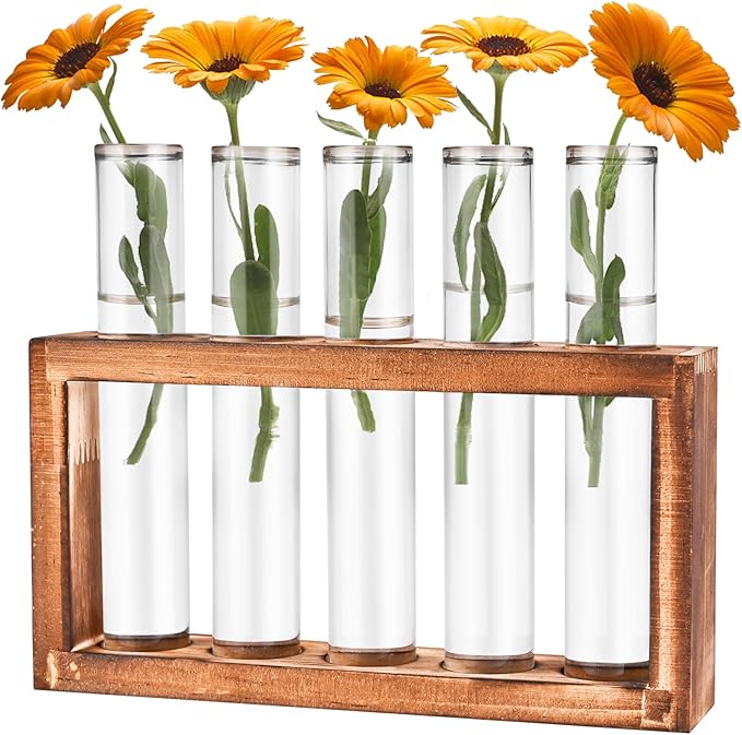 Desktop Glass Plant Propagation Station with 5 Test Tubes in Wooden Stand - Hydroponic Plants Cutting Office Home Decoration and Garden Decor Terrarium (5 Tubes)-Ruum Studio Home
