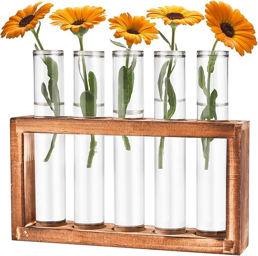 Desktop Glass Plant Propagation Station with 5 Test Tubes in Wooden Stand - Hydroponic Plants Cutting Office Home Decoration and Garden Decor Terrarium (5 Tubes)-Ruum Studio Home