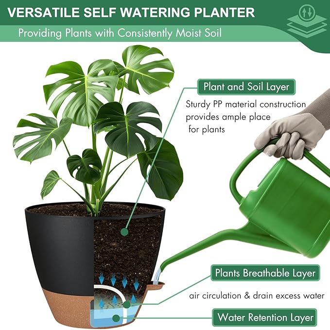 montresor 2 Pack 8 inch Plant Pots, PP Plastic Self Watering Plant Pot with Drainage and Tray for Indoor Outdoor Plants, Water Level Window & Reservoir Flower Pots Decorative Planter (Black)-Ruum Studio Home