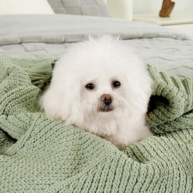 Amélie Home Chenille Knit Throw Blanket for Couch, Chevron Texture Decorative Soft Blanket for Sofa, Bed & Chair, 50"x60", Sage Green-Ruum Studio Home