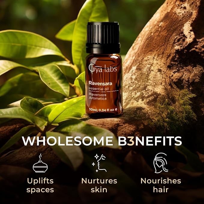 Gya Labs Ravensara Essential Oil for Diffuser - 0.34 Fl Oz - 100% Pure Natural Ravensara Oil for Skin, Hair, Aromatherapy & Candle Making Scent-Ruum Studio Home