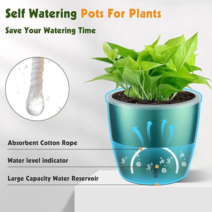 Self Watering Pots for Indoor Plants, 6-Pack 5'' Self Watering Planter with Drainage Holes, Small African Violet Pots with Water Indicator, Clear Wick Orchid Pot, Blue Gold-Ruum Studio Home