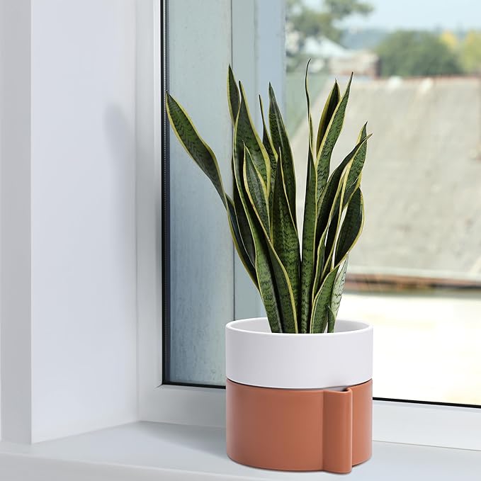 8 Inch Self-Watering Planter Pot with Terracotta Insert, Deep Water Reservoir, and Ceramic-Alike BPA-Free Plastic Planter Pot for Plant, Modern Planter for Houseplants, Terracotta/White, 53-B-T-6-Ruum Studio Home