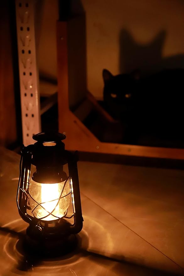 YAKii LED Vintage Lantern Metal Hanging Hurricane 12 LED Dimmer Switch Warm White Battery Operated Power Outage Indoor Camping Lighting Outdoor Brooklyn Decoration(Black)-Ruum Studio Home