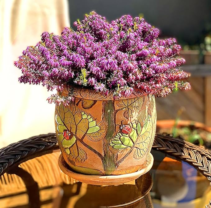 Ceramic Pot with Drainage Hole and Saucer, Plant Pots, Modern Decorative Planters for House Plants Indoor Flowers Plants, Cute Flower Pot - Gifts (Ladybugs (3 L))-Ruum Studio Home