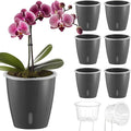 Self Watering Pots for Indoor Plants, 6-Pack 5'' Self Watering Planter with Drainage Holes, Small African Violet Pots with Water Indicator, Clear Wick Orchid Pot, Grey Gold-Ruum Studio Home