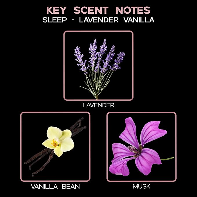 LOVSPA Reed Diffuser Set, Lavender Vanilla Scented Oil Diffuser with Sticks, Home Fragrance Accessories for Bathroom Shelf Decor, Aroma Diffusers for Home or Office Desk, USA Made-Ruum Studio Home