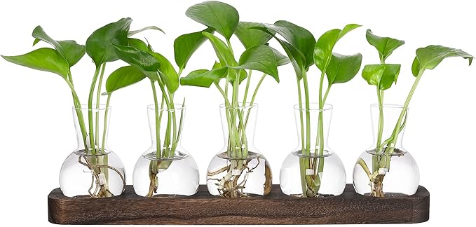 YIBOT Plant Propagation Stations,Glass Propagation Vases for Plants Terrarium with Wooden Tray Plant Lover Gifts for Propagating Hydroponic Plants Home Office Decor(5 Vase)-Ruum Studio Home