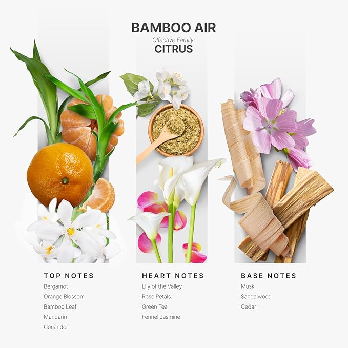 Aromaplan Hotel Scents Bamboo Air 5 Fl Oz (2 Pack), Luxury Aroma & Hotel Fragrance Diffuser Oil- Hotel Diffuser Oil for Aromatherapy- USA Made, Bigger Bottle, Bolder Aroma & Longer Lasting-Ruum Studio Home