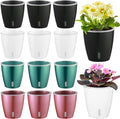 Self Watering Pots for Indoor Plants, 12-Pack 5'' Self Watering Planter with Drainage Holes, Small African Violet Pots with Water Indicator, Clear Wick Pot, White/Black/Blue/Rose Gold-Ruum Studio Home