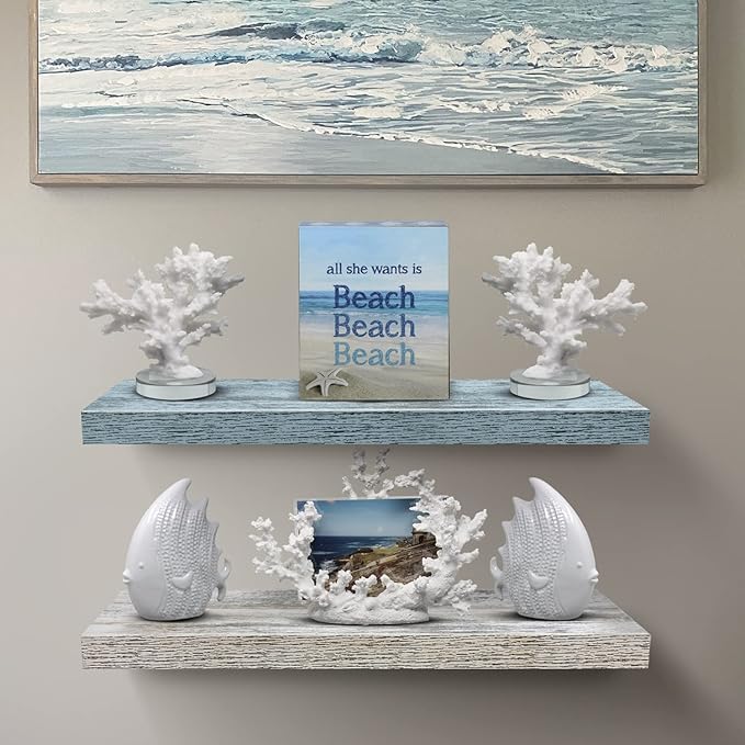 Sorbus Floating Shelf — Hanging Wall Shelves Decoration — Perfect Trophy Display, Photo Frames — Extra Long 24 Inch (Rectangle Shelf Set - Blue White)-Ruum Studio Home