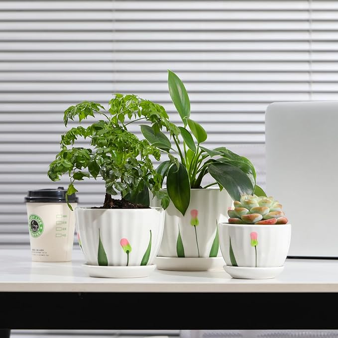 Ceramic Plant Pots with Drainage Holes and Saucers, Round White Flower Pots for Indoor Plant, Diameter 3.3/4.3/5.5 Inches Small Flower Planters Set of 3-Ruum Studio Home