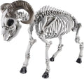 DR.DUDU Goat Skeletons Halloween Decorations – 26 Inch Long Life Size Skeleton Animals for Outdoor, Yard, Lawn Decor - Realistic Farm Skeleton Goat Party Props Scary Halloween Décor-Ruum Studio Home
