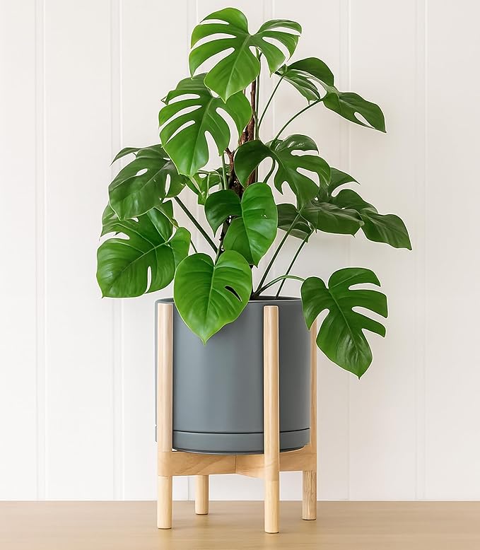 D'vine Dev Ceramic Planter with Natural Stand - 12 Inch Modern Round Flower Pot with Wood Planter Holder, Grey, 55-B-J-3-Ruum Studio Home