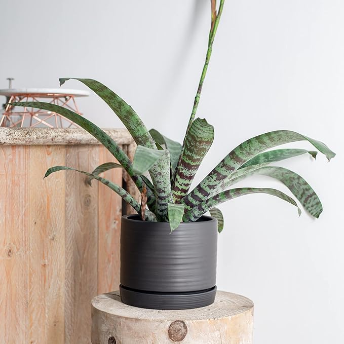 8 Inch Pots for Plants, Ceramic Planter Pot with Drainage Hole & Saucer, Indoor/Outdoor Cylinder Round Planter Pot, Matte Black-Ruum Studio Home