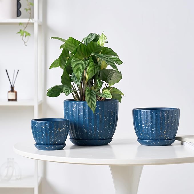 4/5/6 Inches Ceramic Plant Pots with Drainage Holes and Saucers, Round Flower Pots for Indoor Plant, Modern Flower Planters Set of 3 (Blue with Dot-Big Size)-Ruum Studio Home