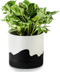 Nihow Ceramic Plant Pot: 6 Inch Planter with Drainage Hole & Saucer for Indoor & Outdoor Plants - Cylinder Round Flower Pot for Succulent/Herbs/Violets - White & Wave Black-Ruum Studio Home