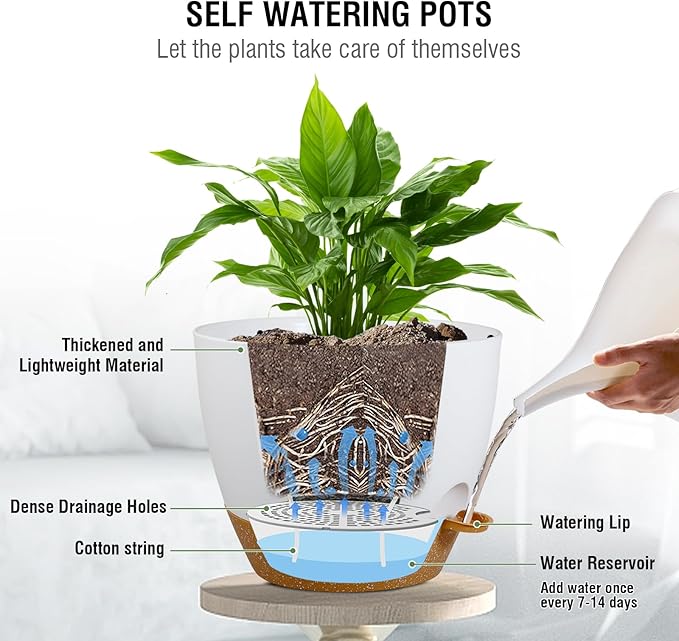 10 inch Self Watering Hanging Planters, 2 Pack Hanging Baskets for Indoor Outdoor Plants, Hanging Flower Pots with Drainage Holes & 2 Kinds of Plant Hangers for Garden Home Décor, White Brown-Ruum Studio Home