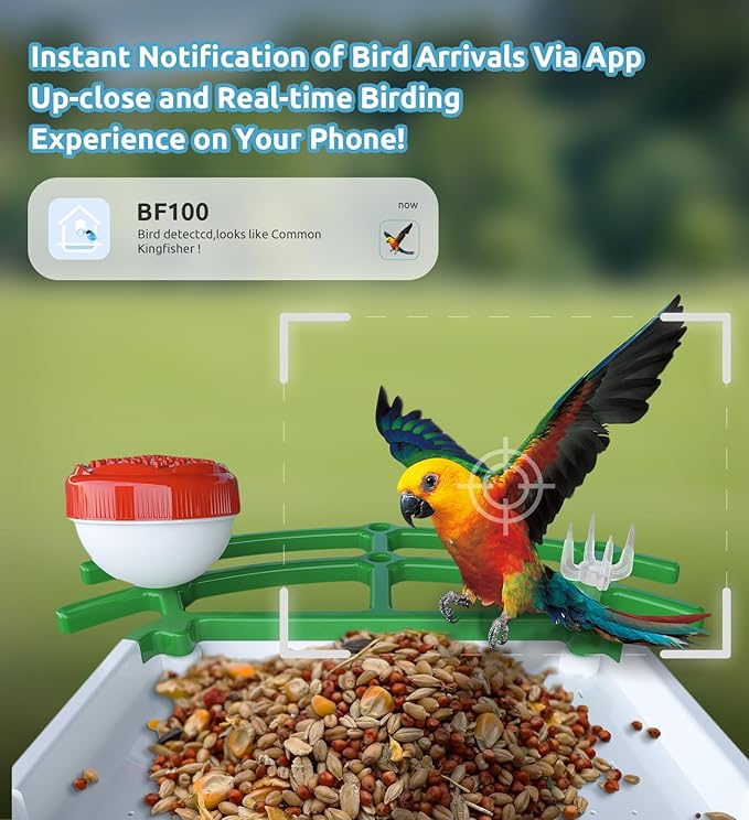 Bird Feeder with Camera, 2K HD AI Smart Identify BirdSpecies Video Camera with Solar Panel Outdoors Birdhouse with Cam, Instant Arrival Alerts, Capture BirdVideo Ideal Present for Bird Lover-Ruum Studio Home