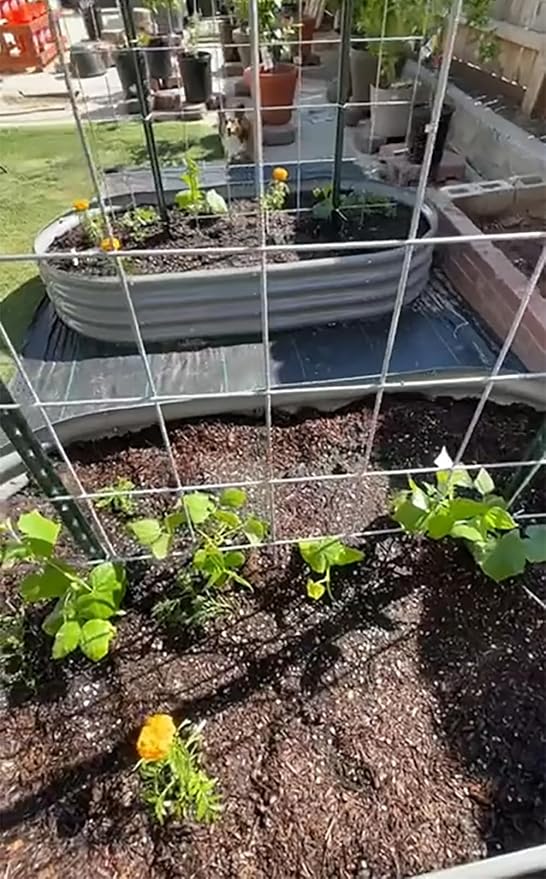 2 Pack 8x4x1FT Galvanized Raised Garden Bed Kit Oval Metal Ground Planter Box Outdoor Bottomless Planter Raised Beds for Vegetables Flowers Herbs Fruits, Gray-Ruum Studio Home