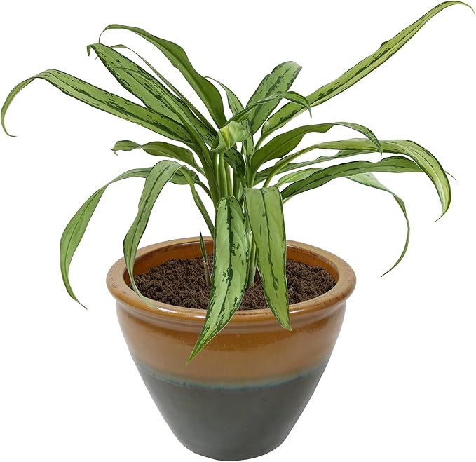 Sunnydaze Chalet Large Ceramic Plant Pot - Round Outdoor Glazed Ceramic Planter Pot with Drainage - Forest Lake Green - 14.5"-Ruum Studio Home
