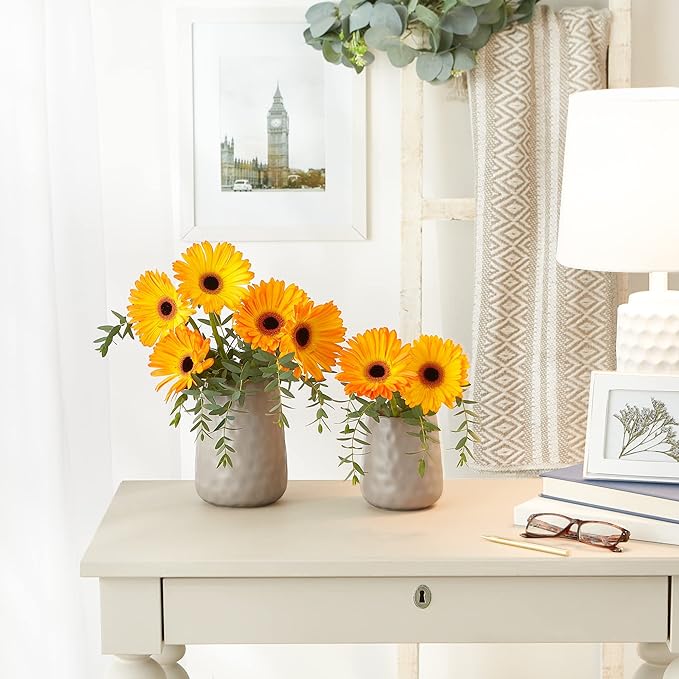 DII Kitchen Accessories Collection, Textured Matte Ceramic Canister Set, Stone, Dimple, 2 Piece-Ruum Studio Home