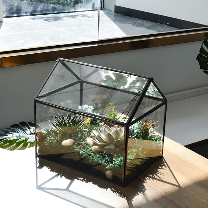 Black 1 Large Glass Plant Terrarium Kit with Lip Greenhouse for Succulents-Ruum Studio Home