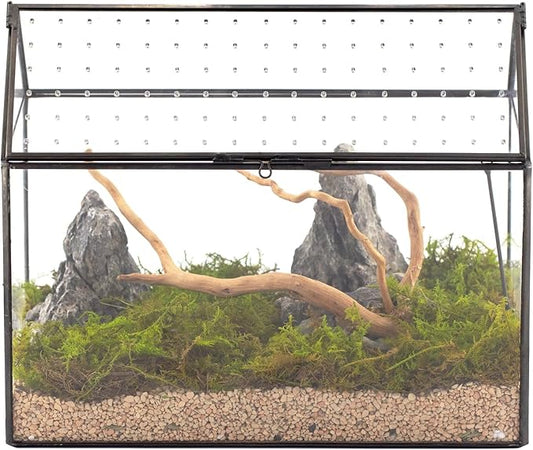 NCYP House Shape Glass Terrarium with Acrylic Lid - 10.2x5.9x8.2 Inches Large Geometric Box for Snails, Ferns, Succulents, Air Plants, Indoor Tabletop Decor, Handmade (Terrarium Only)-Ruum Studio Home