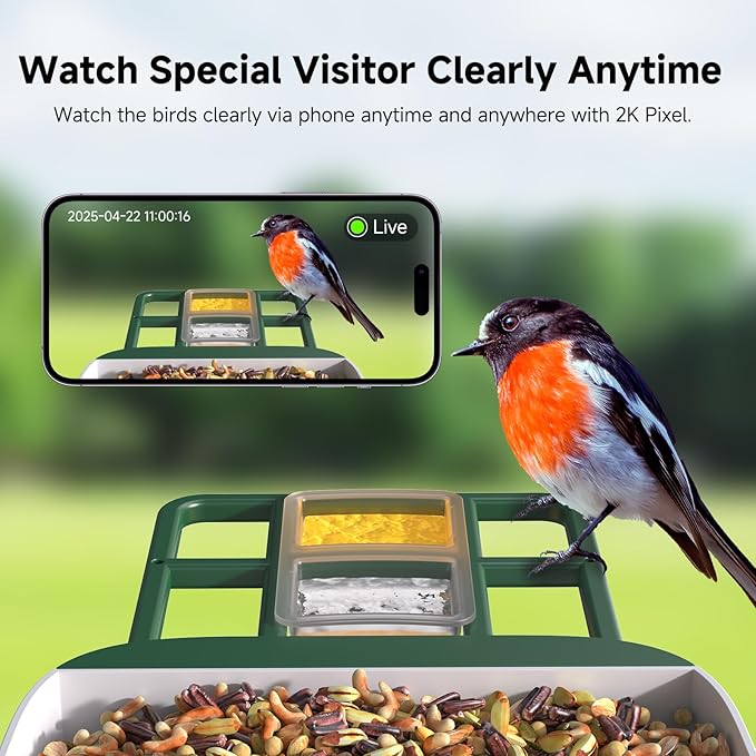 Bird Feeder with Camera AI Identify 2K Live Video Smart Bird Feeder with Camera, 2.4GHZ WiFi Solar Birds House Cameras, Motion Detection Instant Arrival Alerts, Ideal Present for Birds Lovers-Ruum Studio Home
