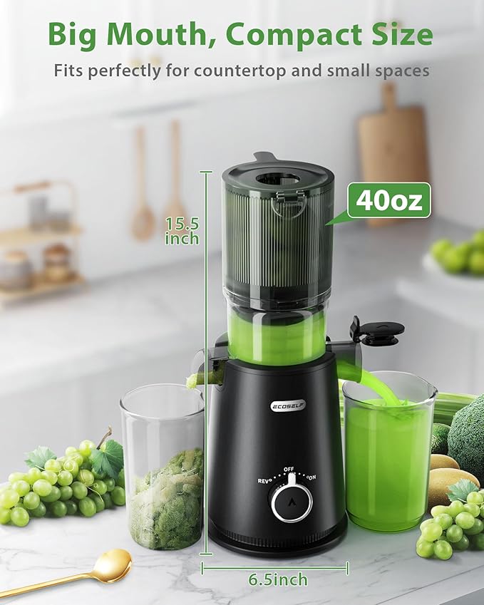 Juicer Machines, ECOSELF 4.35" Large Feed Chute for Family Needs, Professional Hands Free Cold Press Juicer For Whole Fruits & Vegetables, Self Feeding for Juice Extractor Machine, Easy to Clean-Ruum Studio Home