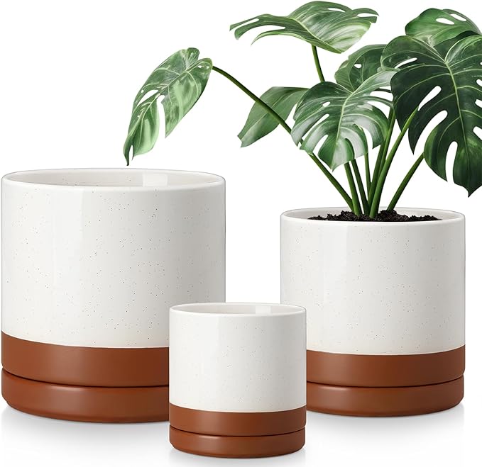 vancasso Ceramic Pots for Plants, Plant Pots for Indoor Plants, 6.25+8.25+10.25 Inch Ceramic Planters, Flower Pots with Drainage Holes, Planters Pot for Indoor House Plant, Set of 3, Khaki-Ruum Studio Home