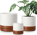 vancasso Ceramic Pots for Plants, Plant Pots for Indoor Plants, 6.25+8.25+10.25 Inch Ceramic Planters, Flower Pots with Drainage Holes, Planters Pot for Indoor House Plant, Set of 3, Khaki-Ruum Studio Home