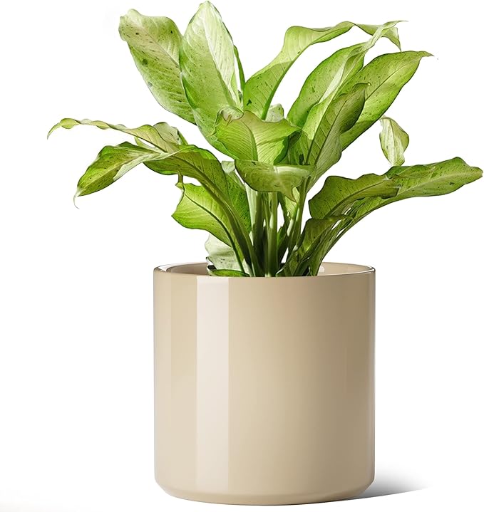 LE TAUCI 12 Inch Pots for Plants, Ceramic Large Plant Pot for Indoor Plants, Mid-Century Modern Flower Planter Pots with Drainage Hole and Removable Plug, Round Planter Pot, Reactive Glaze Cloud Cream-Ruum Studio Home