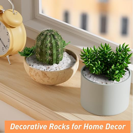 2.5 lbs White Aquarium Gravel, 1/5 Inch White Rocks for Plants, Small Pebbles for Vases, Succulents, Bamboo, Natural Decorative Pebbles for Plants Drainage, Cactus, Crafts-Ruum Studio Home