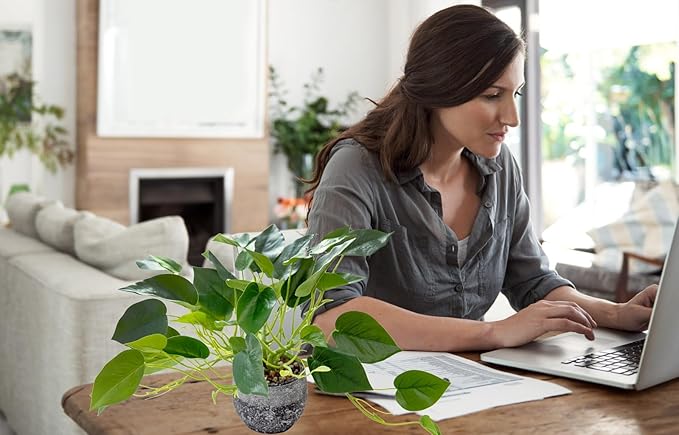 AlphaAcc Artificial Plants Potted Real Looking Small Faux Plant with Rustic Black Cement Planter for Kitchen Office Desk Bookshelf Decor (Ivy Plant)-Ruum Studio Home