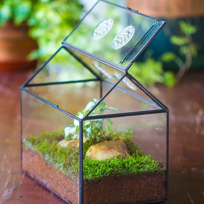 NCYP Glass Terrarium with Lid and Air Holes for Snails, Succulents Plants, Small Cactus - 10.2" x 5.9" x 8.2" House Shape Geometric Clear Box, Indoor Tabletop Decor Black (Terrarium Only)-Ruum Studio Home