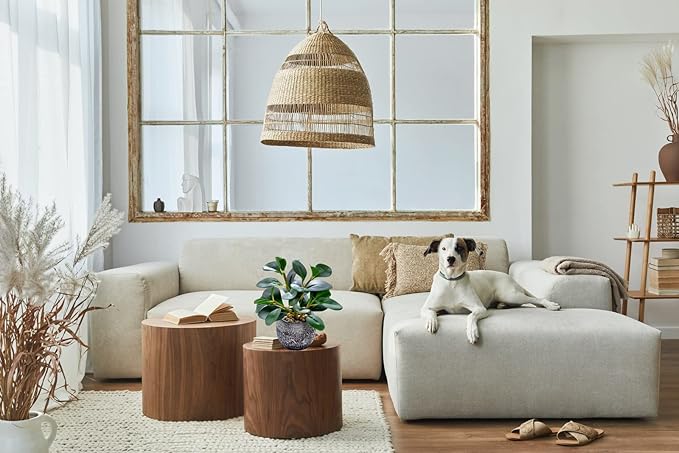 AlphaAcc Artificial Plants Potted Real Looking Small Faux Plant with Rustic Black Cement Planter for Kitchen Office Desk Bookshelf Decor (Ficus Plant)-Ruum Studio Home