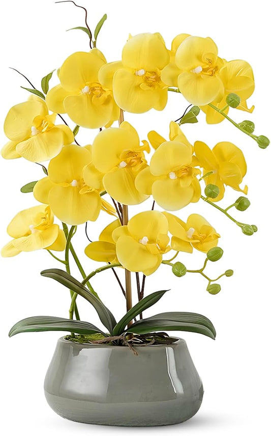 Orchid Artificial Flowers with Gray Vase Large Silk Faux Phalaenopsis Flowers for Dining Room Table Floral Centerpieces Indoor Decoration,Yellow-Ruum Studio Home
