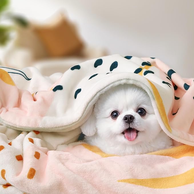 Lahome Pink Fleece Throw Blanket for Bed, Reversible Soft Throw Blankets for Women Cute, Warm Thick Throw Blankets for Couch, Apricot 50''x60''-Ruum Studio Home